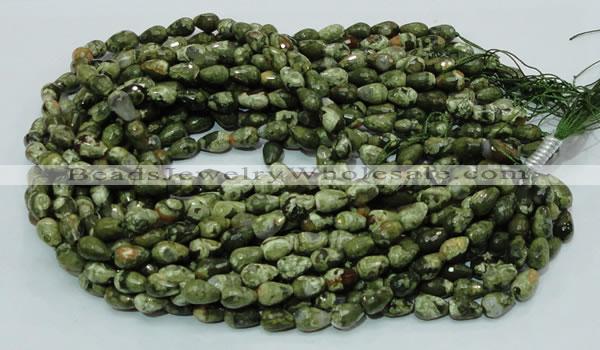 CPS63 15.5 inches 8*12mm faceted teardrop green peacock stone beads