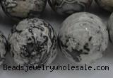 CPT191 15.5 inches 16mm round grey picture jasper beads wholesale