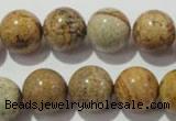 CPT456 15.5 inches 16mm round picture jasper beads wholesale