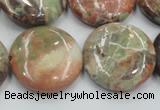 CRA12 15.5 inches 25mm flat round natural rainforest agate beads