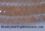 CRB1866 15.5 inches 2*3mm faceted rondelle moonstone beads