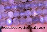 CRB1981 15.5 inches 3*5mm faceted rondelle labradorite beads