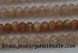 CRB224 15.5 inches 2.5*4mm faceted rondelle moonstone beads