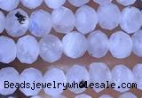 CRB2623 15.5 inches 2*3mm faceted rondelle white moonstone beads