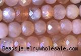 CRB2625 15.5 inches 2*3mm faceted rondelle moonstone beads