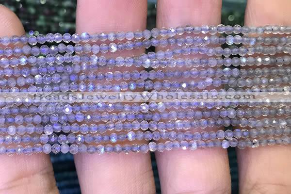 CRB2660 15.5 inches 1.5*2mm faceted rondelle labradorite beads