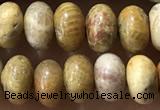 CRB5321 15.5 inches 4*6mm rondelle fossil coral beads wholesale