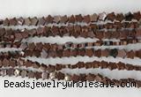 CRG32 15.5 inches 6mm flat star mahogany obsidian beads wholesale