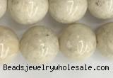 CRJ623 15.5 inches 10mm round white fossil jasper beads wholesale