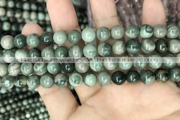 CRM202 15.5 inches 8mm round green mud jasper beads wholesale