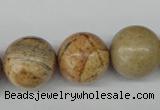 CRO485 15.5 inches 18mm round picture jasper beads wholesale