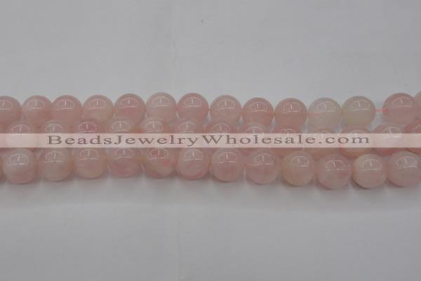 CRQ673 15.5 inches 12mm round rose quartz beads wholesale