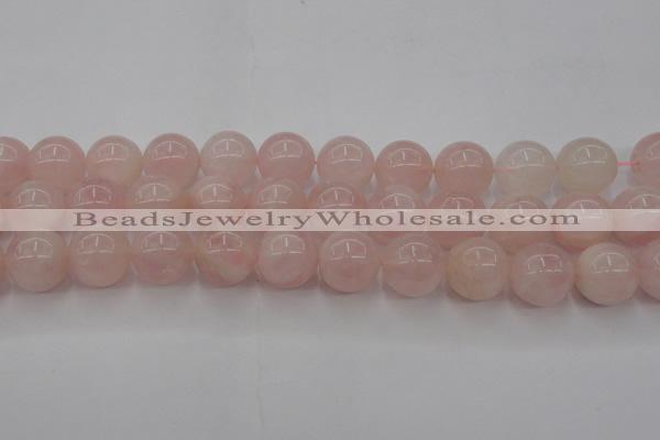 CRQ674 15.5 inches 14mm round rose quartz beads wholesale