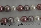 CSB1036 15.5 inches 8mm round mixed color shell pearl beads