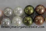 CSB1085 15.5 inches 12mm round mixed color shell pearl beads