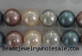 CSB1094 15.5 inches 12mm round mixed color shell pearl beads