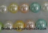 CSB1098 15.5 inches 12mm round mixed color shell pearl beads