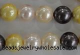 CSB1101 15.5 inches 12mm round mixed color shell pearl beads