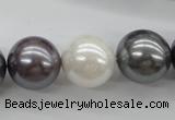 CSB1150 15.5 inches 16mm round mixed color shell pearl beads