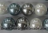 CSB1151 15.5 inches 16mm round mixed color shell pearl beads