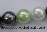 CSB1152 15.5 inches 16mm round mixed color shell pearl beads