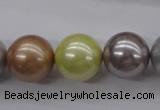 CSB1155 15.5 inches 16mm round mixed color shell pearl beads