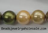 CSB1156 15.5 inches 16mm round mixed color shell pearl beads