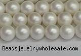 CSB1601 15.5 inches 6mm round matte shell pearl beads wholesale