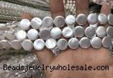 CSB2136 15.5 inches 10mm coin shell pearl beads wholesale