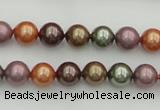 CSB312 15.5 inches 8mm round mixed color shell pearl beads