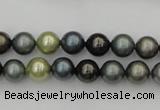 CSB316 15.5 inches 8mm round mixed color shell pearl beads