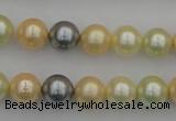 CSB333 15.5 inches 10mm round mixed color shell pearl beads