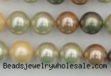 CSB359 15.5 inches 12mm round mixed color shell pearl beads