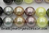 CSB364 15.5 inches 12mm round mixed color shell pearl beads