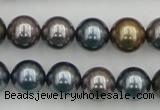 CSB366 15.5 inches 12mm round mixed color shell pearl beads