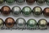 CSB367 15.5 inches 12mm round mixed color shell pearl beads