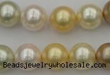 CSB372 15.5 inches 14mm round mixed color shell pearl beads