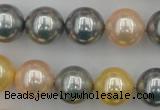 CSB377 15.5 inches 14mm round mixed color shell pearl beads