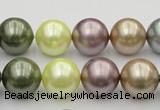 CSB381 15.5 inches 14mm round mixed color shell pearl beads