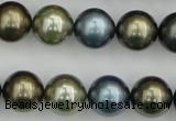 CSB384 15.5 inches 14mm round mixed color shell pearl beads