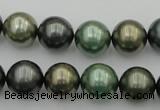 CSB385 15.5 inches 14mm round mixed color shell pearl beads