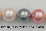 CSB391 15.5 inches 16mm round mixed color shell pearl beads