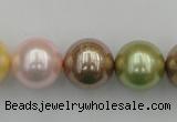 CSB393 15.5 inches 16mm round mixed color shell pearl beads