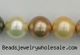 CSB394 15.5 inches 16mm round mixed color shell pearl beads