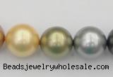 CSB395 15.5 inches 16mm round mixed color shell pearl beads