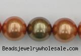 CSB397 15.5 inches 16mm round mixed color shell pearl beads