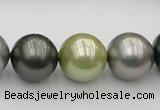 CSB398 15.5 inches 16mm round mixed color shell pearl beads