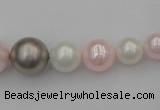 CSB406 15.5 inches 8mm - 16mm round mixed color shell pearl beads