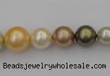 CSB407 15.5 inches 8mm - 16mm round mixed color shell pearl beads