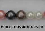 CSB408 15.5 inches 8mm - 16mm round mixed color shell pearl beads